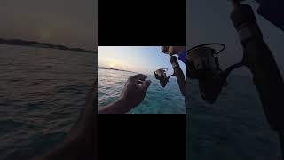 Early morning light casting shorts shortsfeed shortvideo fishing maldivies [upl. by Winwaloe]