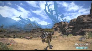 PS3  Final Fantasy XIV A Realm Reborn gameplay part 31 HD [upl. by Charry248]