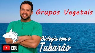 Botânica  Grupos vegetais  Criptógamas e Fanerógamas  Biologia com o Tubarão [upl. by Aeila348]