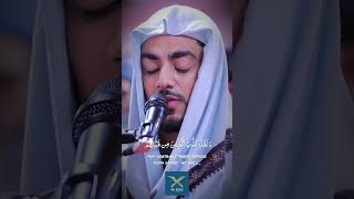 🥺Magnifique Recitation du coran islamicshorts shorts coran quranrecitation [upl. by Lali843]