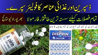 Result Demonstration of Aspirin and Nutrient Foliar Spray  Cyber Agri Extension [upl. by Jeffery398]