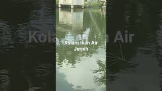 Indahnya kolam ikan Air JernihVideoShort [upl. by Ferreby]