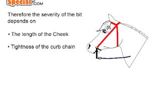 The Curb Bit How it works [upl. by Lamoree350]