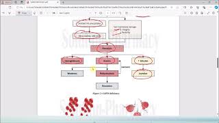 10 Glucose6Phosphate Dehydrogenase Deficiency  G6PD Deficiency Causes amp Symptoms  Biochemistry [upl. by Susette]