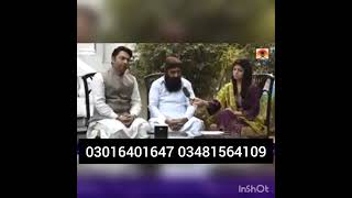 Gul e zafran shadi course amp Akseer Tila [upl. by Grissel60]