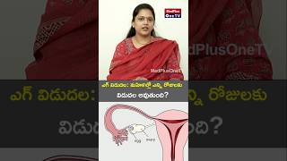 Egg Release Timing and Irregularities l Dr V Hemalatha Reddy shorts MedPlusONETV [upl. by Ttezil]