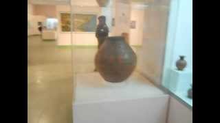 Delhiwonders  National Museum Delhi [upl. by Keavy]