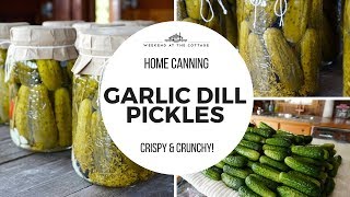 The best GARLIC DILL PICKLES recipe [upl. by Ahtreb]