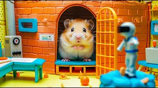 The Best Challenges 😱 Hamster Escapes Prison Maze 🐹 Hamster Maze [upl. by Notelrac]