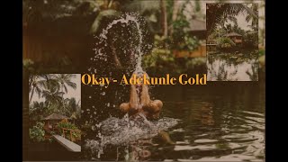 Okay  Adekunle Gold Slowed [upl. by Godrich]