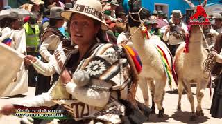 Festival de tarqueada en San pedro de Totora 2021 invitado Curahuara de Carangas [upl. by Yrffej]