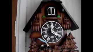 Cuckoo Clock [upl. by Ebocaj]