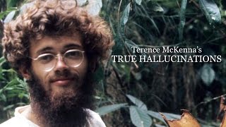 Terence McKennas True Hallucinations Full Movie HD [upl. by Roi126]