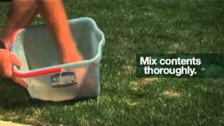 How to oversow and repair a patchy lawn using Munns Fast Grass Lawn Repair Kit [upl. by Sally]