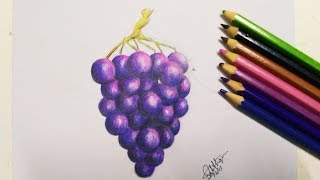 Grapes Easy Drawing Drawing and pencil coloring Tutorial video for students [upl. by Emelina388]