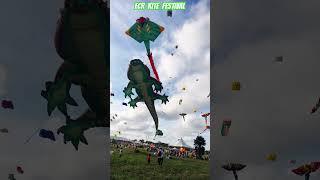 Chennai Kite Festival 2024  International Kite Festival in Chennai Must visit vidyazlifestyle [upl. by Branham]