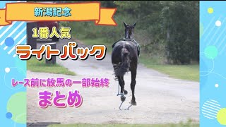 【新潟記念】ライトバックの放馬一部始終をまとめました【ハミ外れ暴走】 [upl. by Netsrijk]