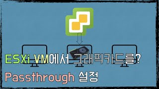 ESXi8 GPU passthrough 설정 [upl. by Bonneau256]