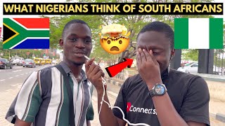 🇳🇬🇿🇦What Nigerians Think of South Africans amp South Africa is Mindblowing😯 [upl. by Piper]