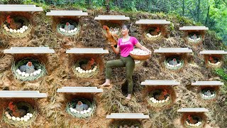 TIMELAPSE  30 Days Build Many Nest For Hens To Lay Egg  Harvest Chicken Egg Ducks Go To Sell [upl. by Mackler]