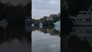 Day on the TennesseTombigbee waterway greatloop trawler yacht [upl. by Amalia]