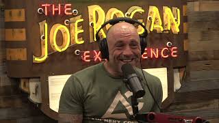 Joe Rogan Experience 2052  Shane Dorian [upl. by Ayokahs615]