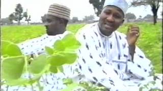 Fati  Hausa Movie Song [upl. by Wilkins]