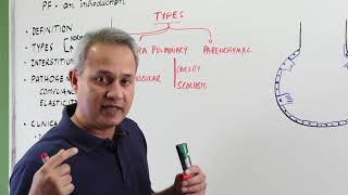 Types of Restrictive Lung Diseases [upl. by Sid]