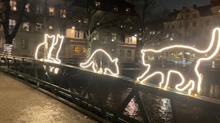 Sweden Walks Uppsala Relaxing city walk along the river and calm streets with festive lights [upl. by Whyte98]