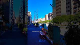 Peaceful community in Hakusan in the city of Bunkyo Tokyo tokyo japan city street travel fyp [upl. by Aihsetan]