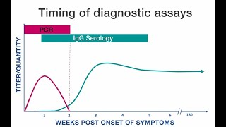 Rickettsial Disease Diagnostic Testing and Interpretation [upl. by Yendroc]