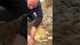 precious stone found in the river bank shortsvideo [upl. by Holmann]