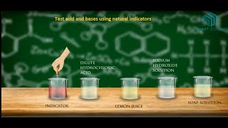 Science Projects  Test acid and bases using natural indicators [upl. by Adrahs]