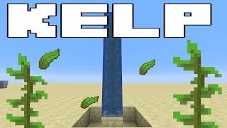 Minecraft 113 Bubble Elevators  The new KELP meta  Minecraft Tricks [upl. by Neerual556]