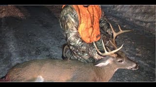 Muzzleloader deer hunting  Catskills NY [upl. by Hulbert]