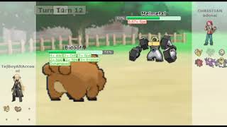 why bidoof is god and why inteleon is decent Pokemon Showdown [upl. by Ennovaj]