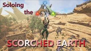 Archaeopteryx on Scorched Earth Soloing the Ark in Scorched Earth 16 [upl. by Aihsit870]