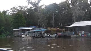 Swamp houses in New Orleans [upl. by Eiralav]