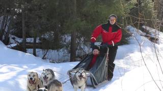 HuskyPoint husky safaris and excursions Rovaniemi in Lapland Finland [upl. by Kazue]