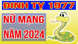 Xem Tử Vi Nữ Mạng Tuổi Đinh Tỵ 1977 Năm 2024 Giáp Thìn [upl. by Asaeret91]