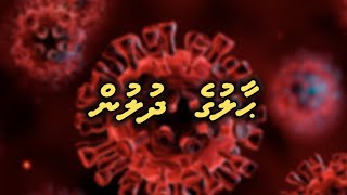 Haaluge dhulun  Ali Rameez I Dhivehi [upl. by Oluas]