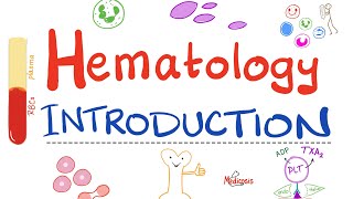 Hematology  Introduction  Hematopoiesis Lets Make RBCs WBCs and Platelets Hematology Playlist [upl. by Olegnaleahcim]