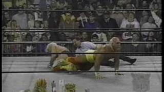 1196 Flair vs Hogan 22 [upl. by Arracat]