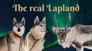 The Real Lapland  Magical Lapland Holidays with Canterbury Travel [upl. by Odlanor]