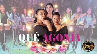 GAELA SON  QUE AGONIA  SALSA  COVER AUDIO [upl. by Zeidman]