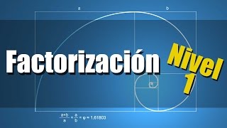 Factorización  Ejercicios Resueltos Nivel 1 [upl. by Nate433]