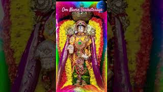 OM Namo venkatesaya perumal alangaram பெருமாள் சிறப்பு அலங்காரம் trending hindutemple perumal [upl. by Gelasias]