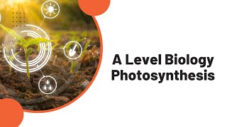 A Level Biology Photosynthesis [upl. by Gaeta]