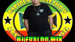 MELO DE PROBLEMATICO 2011 DJ EVALDO MIX [upl. by Dinerman]