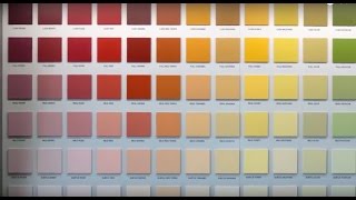 SIKKENS  COLOUR WALL [upl. by Imelda438]